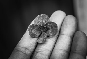 sâm lốc trực tuyến F8bet